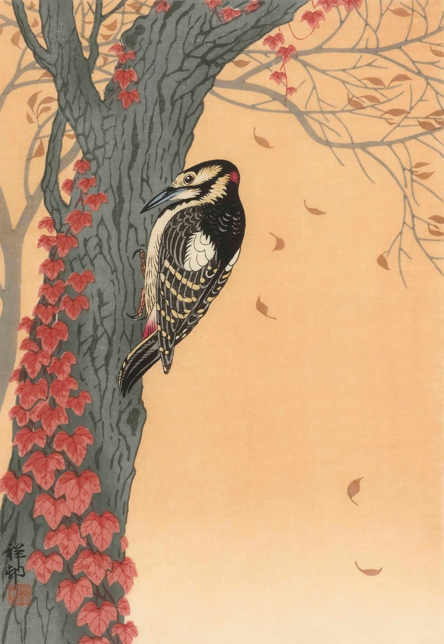 Nagy harkály fán vörös borostyánnal, 20. század (japán nyomat) alkotó: Ohara Koson