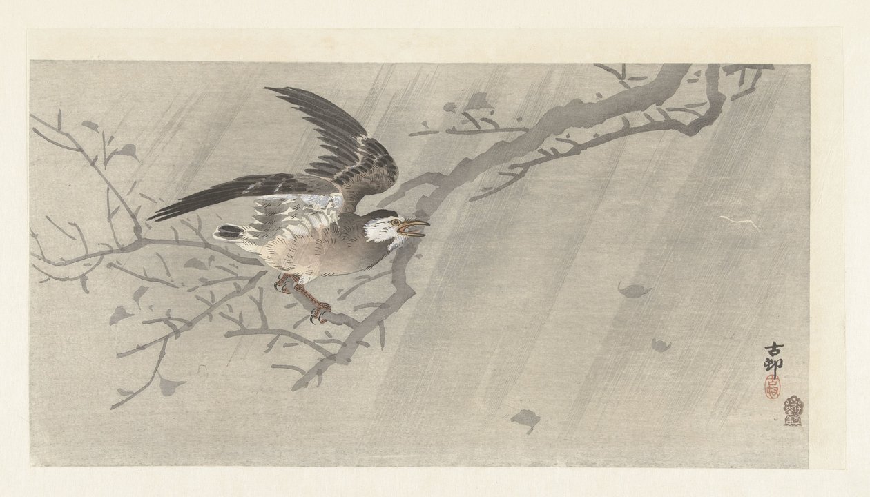 Szürke seregély a viharban alkotó: Ohara Koson
