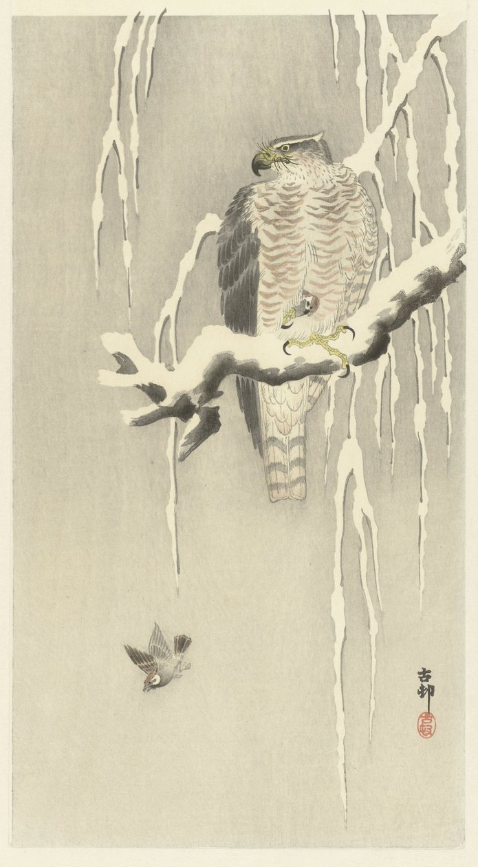 Sólyom fogságban tartott füves verébrel. alkotó: Ohara Koson