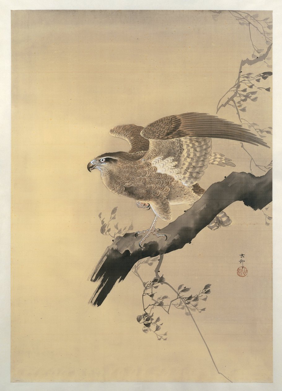 Hawk (ecset) alkotó: Ohara Koson