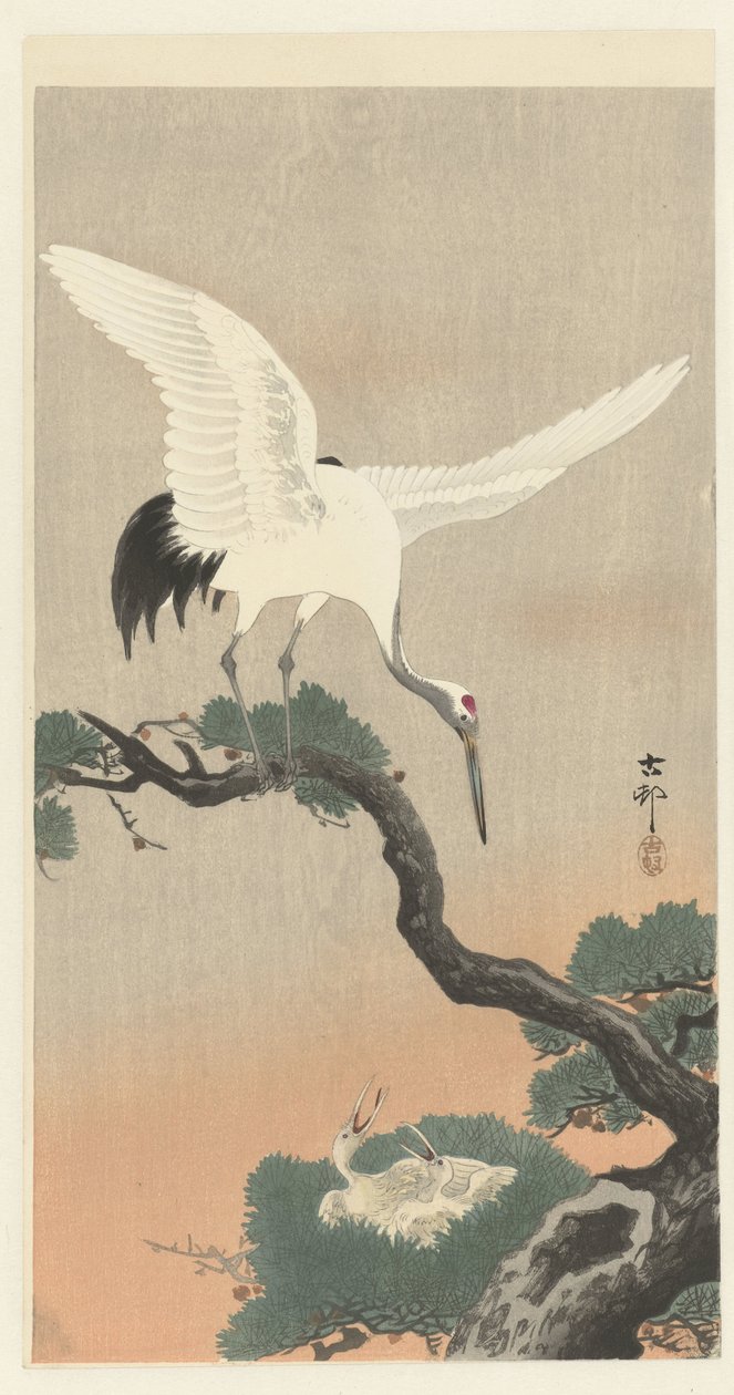 Japán daru fenyő ágon alkotó: Ohara Koson