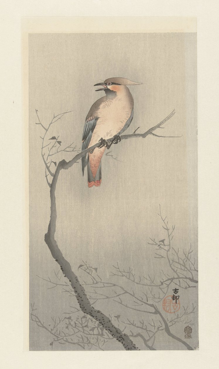 Japán viaszszárny az ágon alkotó: Ohara Koson