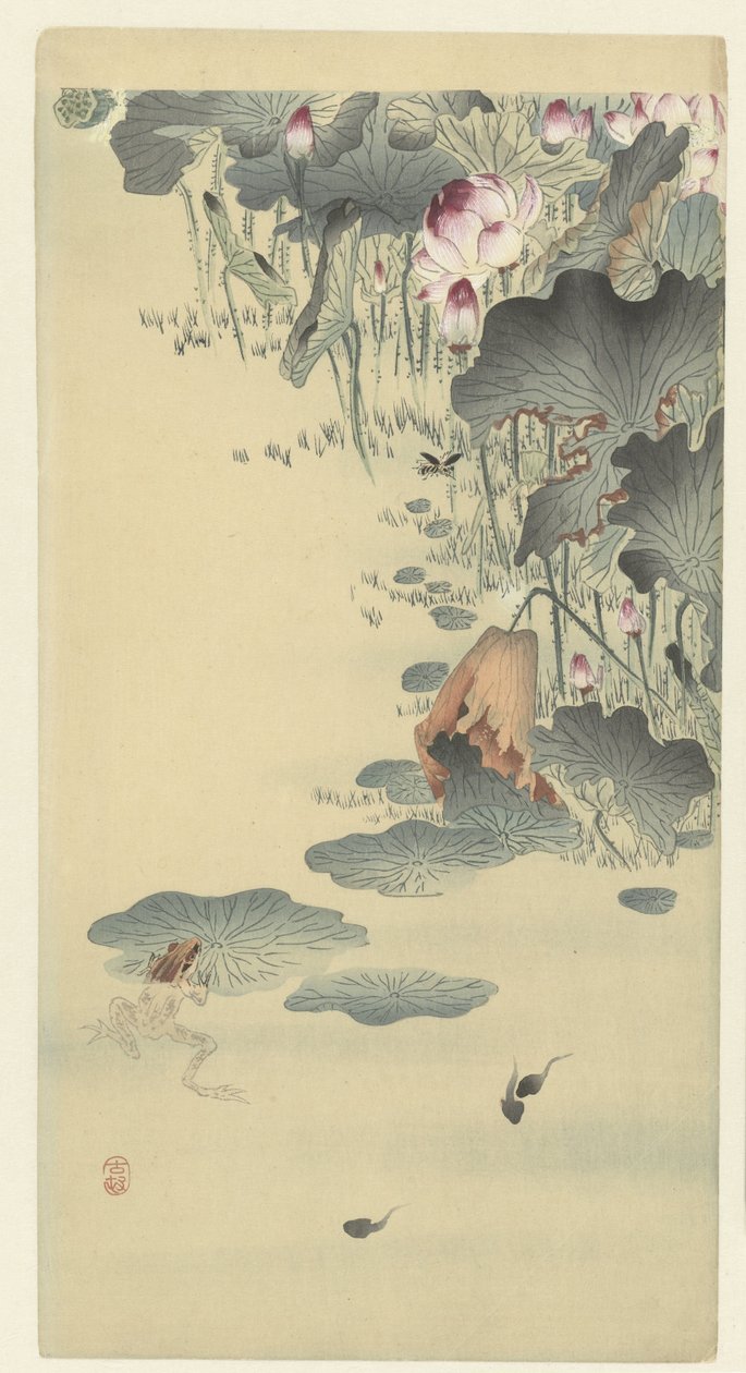 Béka és ebihalak alkotó: Ohara Koson