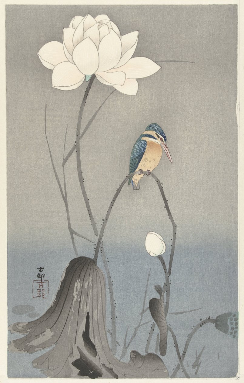 Jégmadár lótuszvirággal alkotó: Ohara Koson