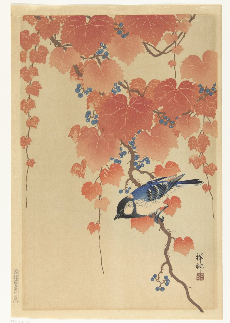 Széncinege paulownia ágon alkotó: Ohara Koson