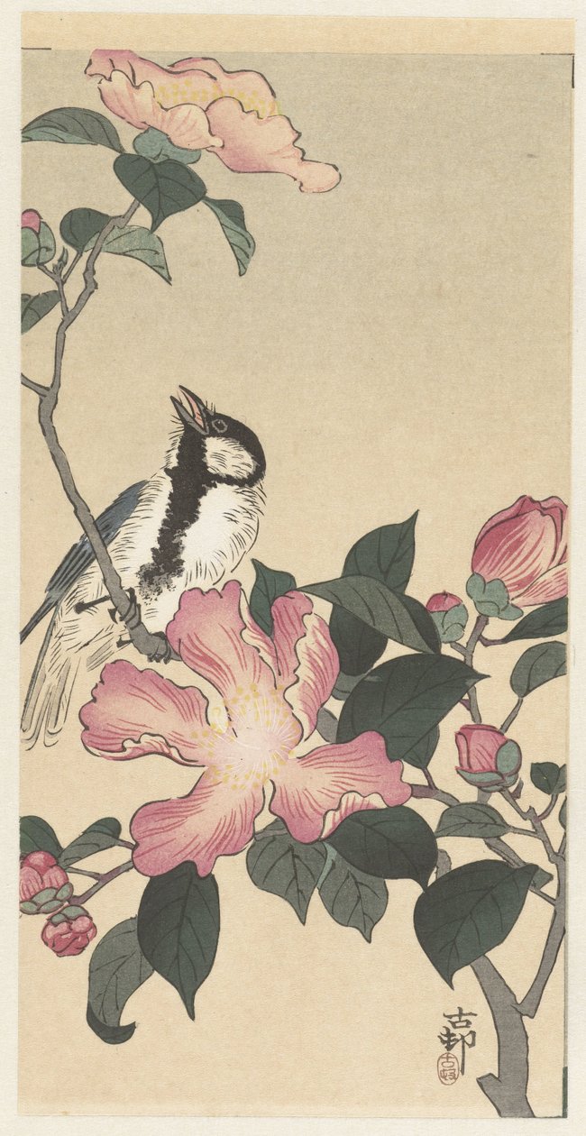 Széncinege ágon, rózsaszín virágokkal alkotó: Ohara Koson