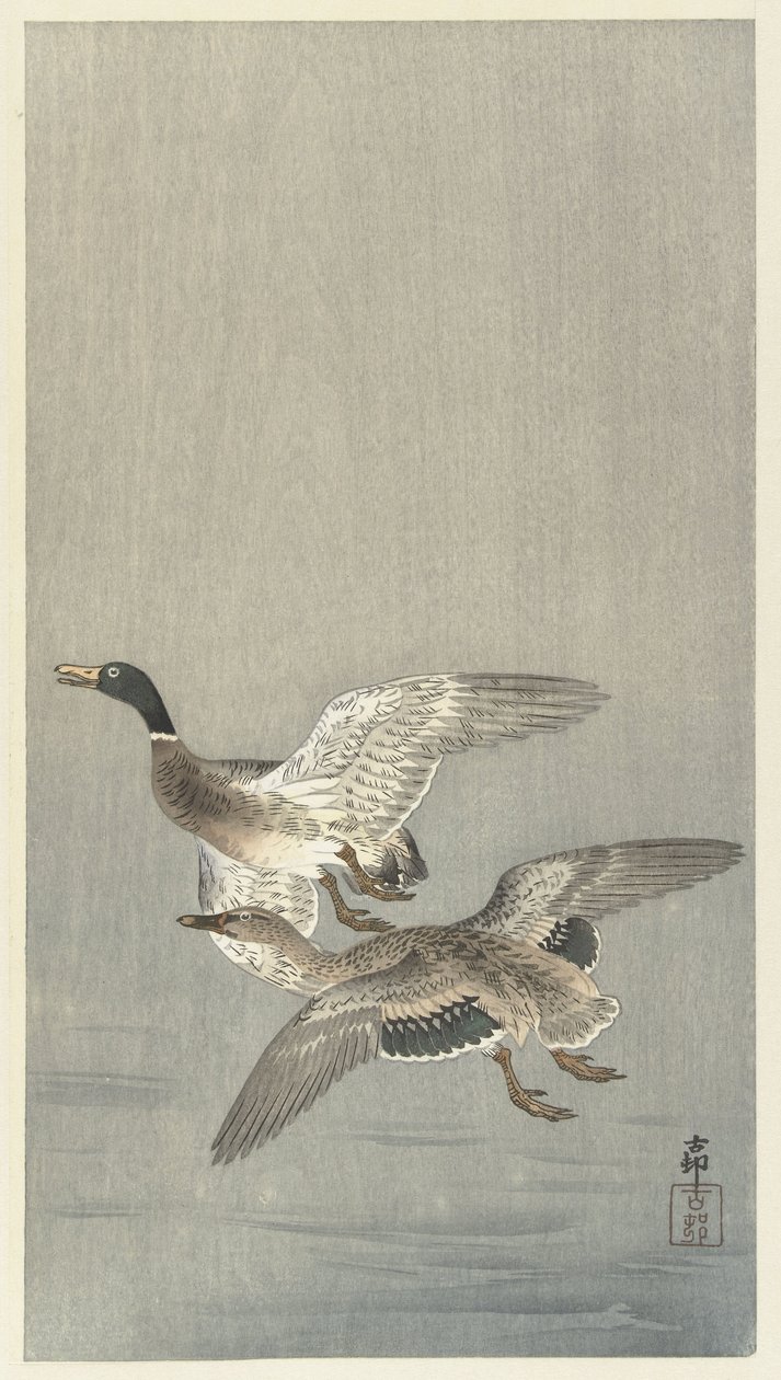 Páros kacsa alkotó: Ohara Koson