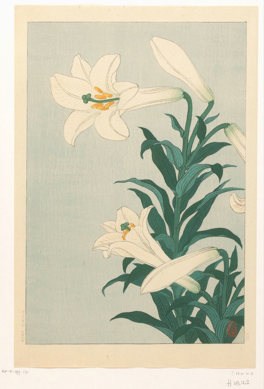 Lelies alkotó: Ohara Koson
