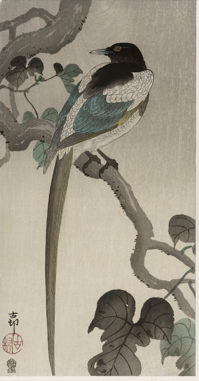 Szarka egy pauwolnai ágon (színes fatömbnyomat) alkotó: Ohara Koson