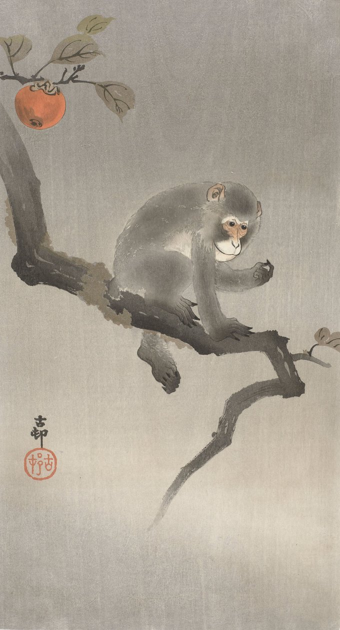 Majom gyümölcsfán, 1900-30 (színes fametszet) alkotó: Ohara Koson