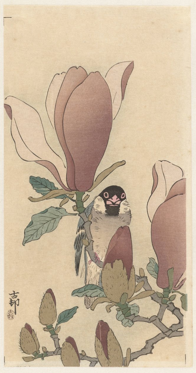 Veréb a virágzó magnólia ágon alkotó: Ohara Koson