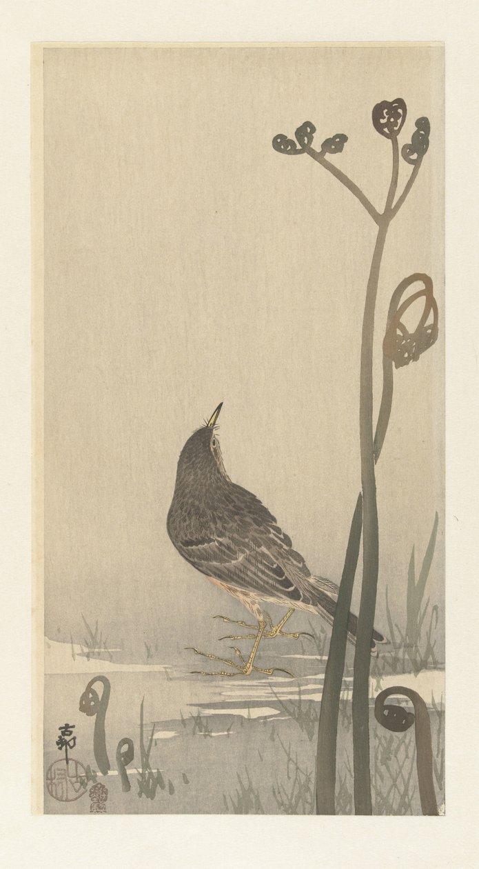 Piper a vízparton alkotó: Ohara Koson