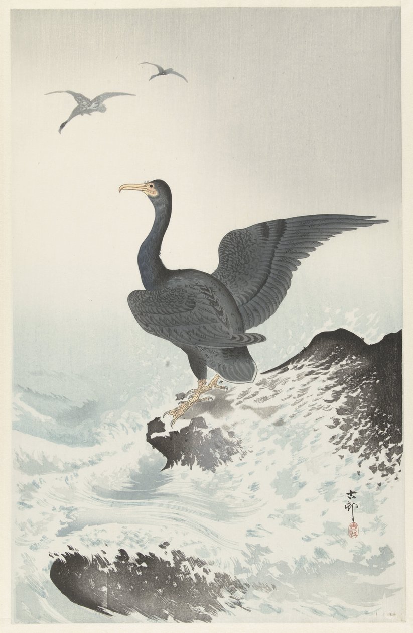 Vörös arcú kormorán sziklán alkotó: Ohara Koson