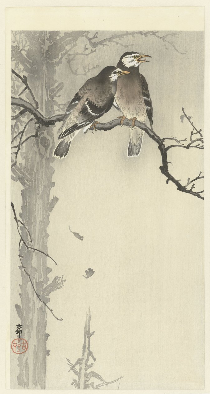 Két szürke seregély alkotó: Ohara Koson