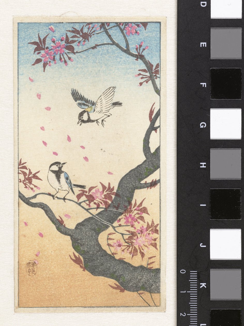 Két széncinege a virágzó fa közelében alkotó: Ohara Koson