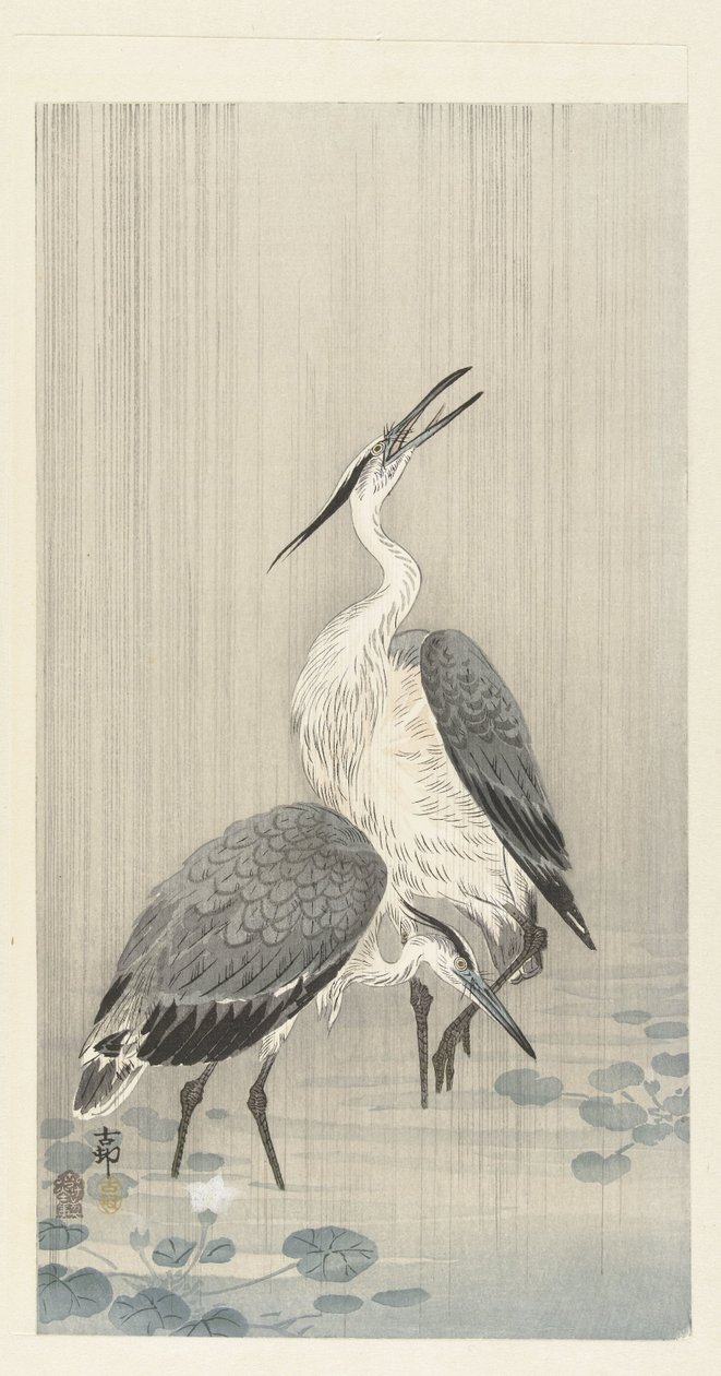 Két gém az esőben alkotó: Ohara Koson