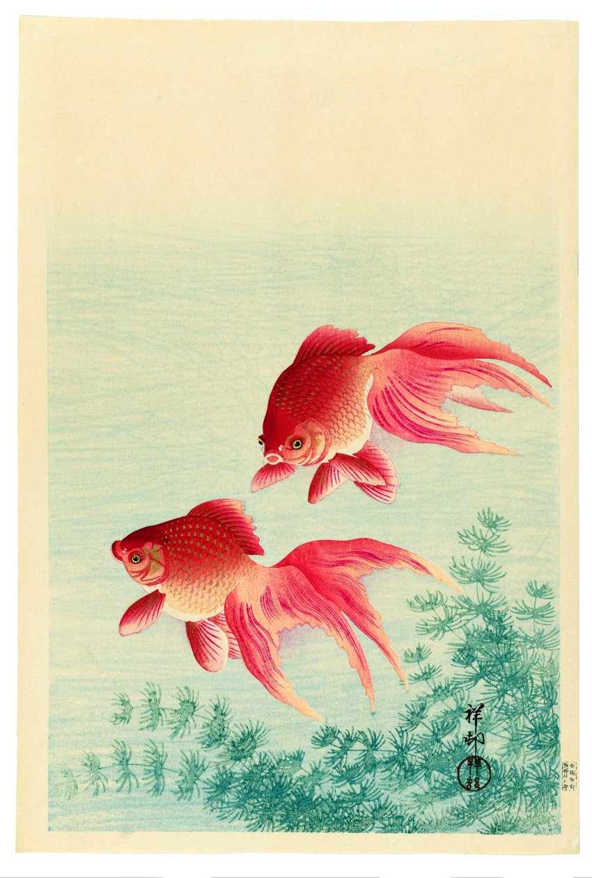 Két fátyolfarkú aranyhal alkotó: Ohara Koson