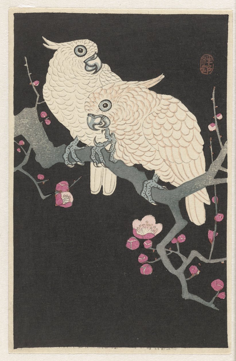Két kakadu és szilvavirág alkotó: Ohara Koson