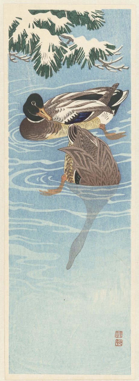 Két vadkacsa a vízben alkotó: Ohara Koson