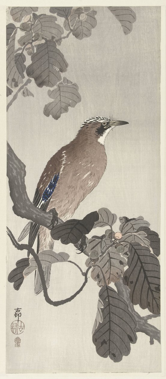 Flamand szajkó a fa ágán alkotó: Ohara Koson