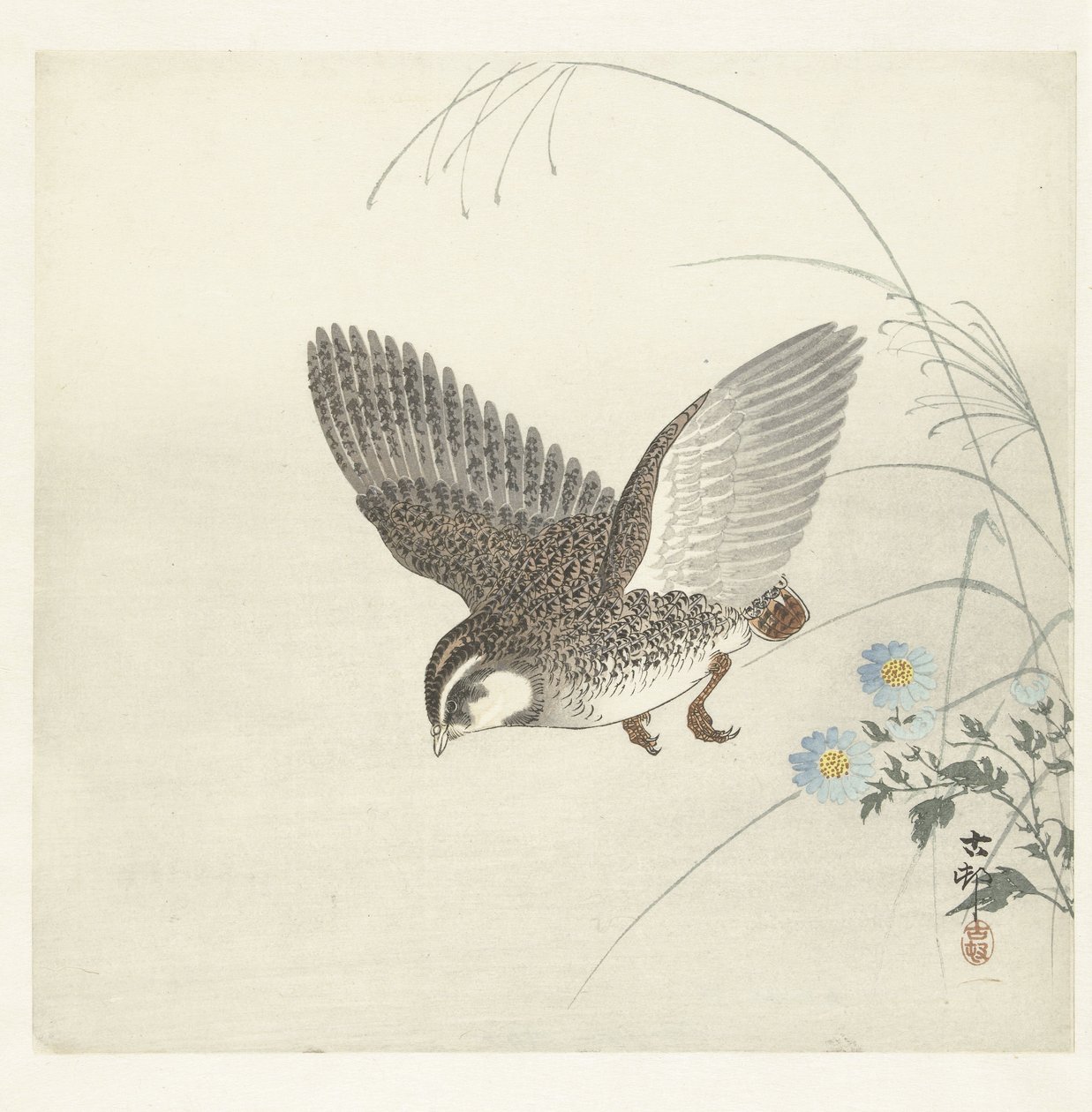 repülő fürj alkotó: Ohara Koson