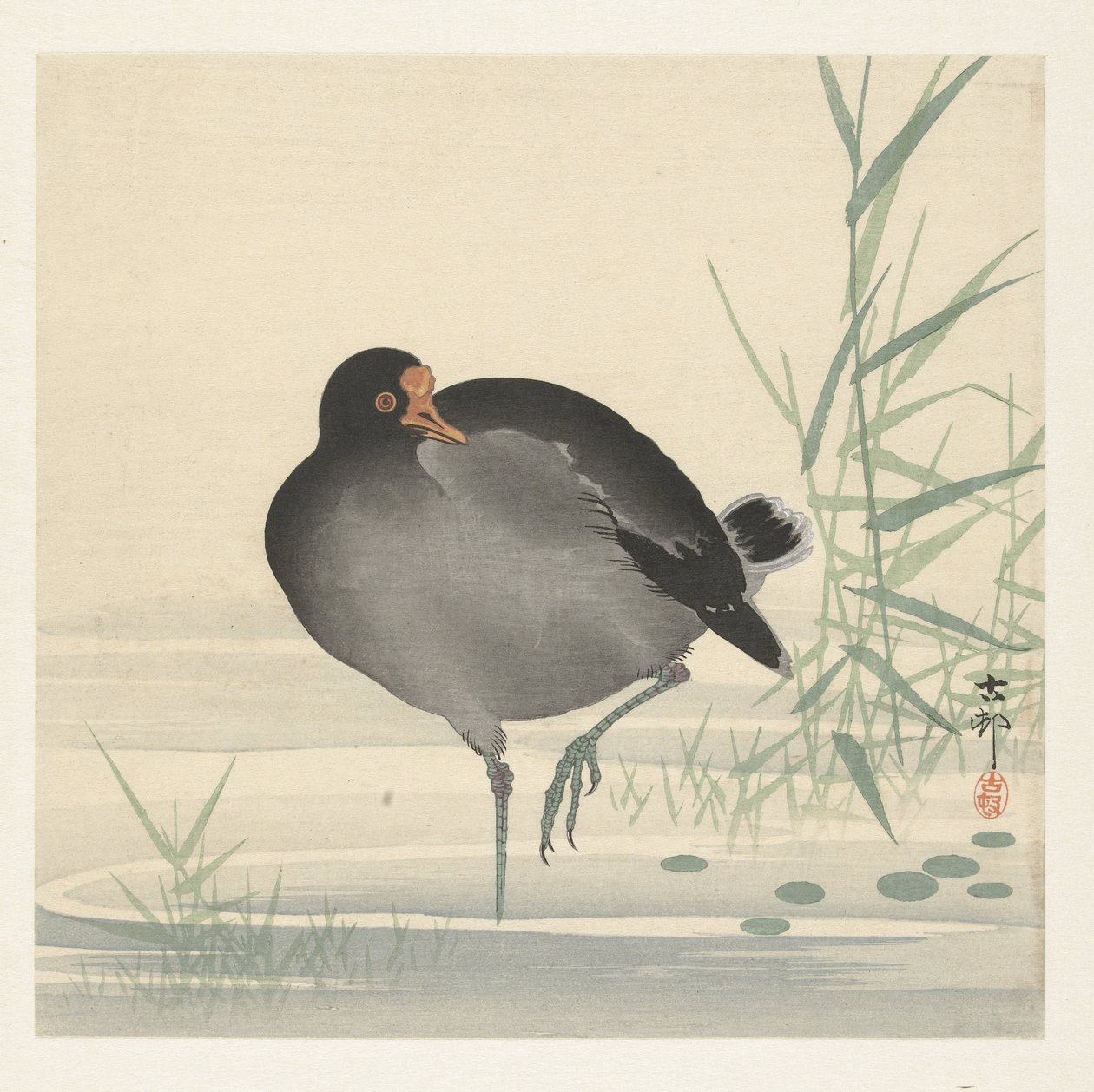Waterhoen alkotó: Ohara Koson