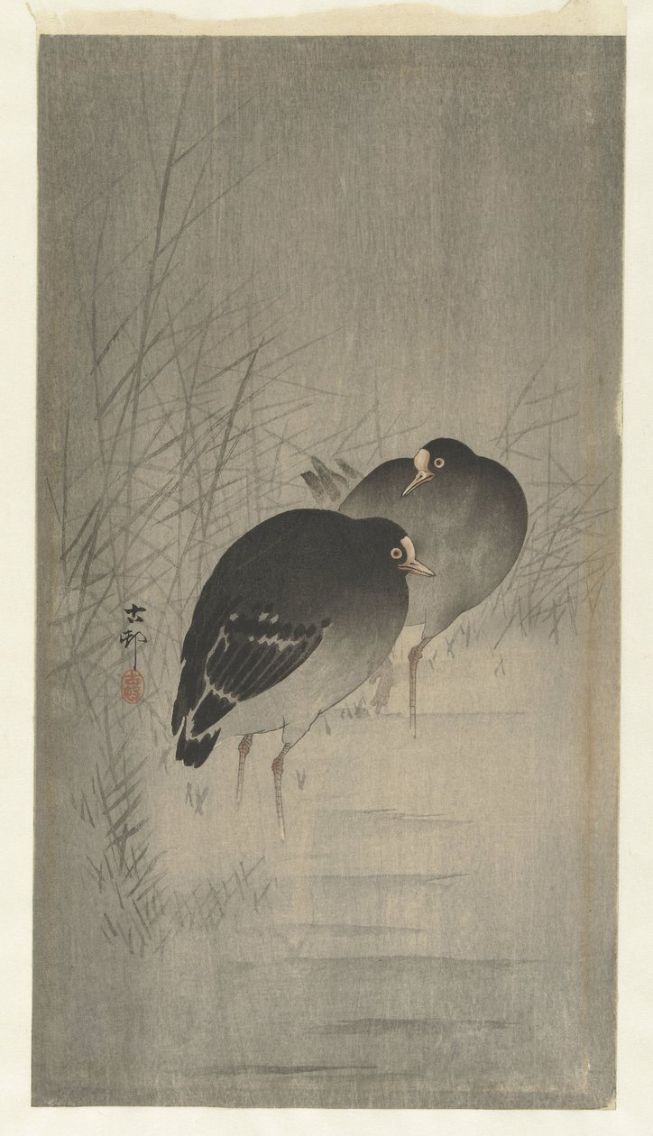 Moorhens a nád között alkotó: Ohara Koson