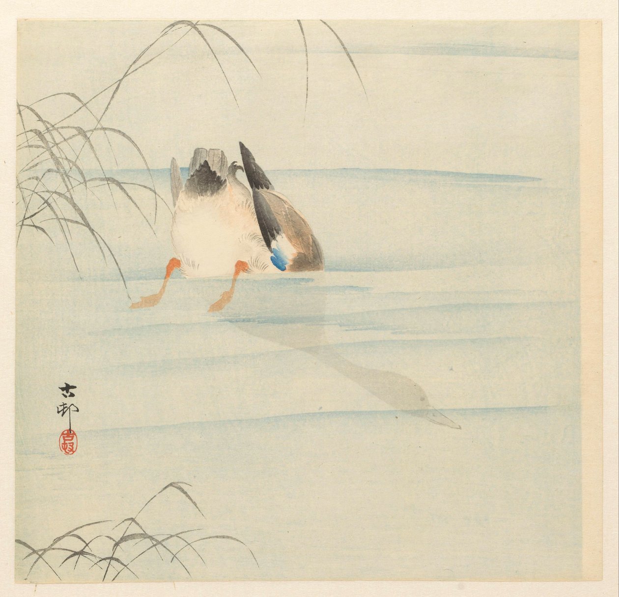 Tőkés réce, feje a víz alatt alkotó: Ohara Koson