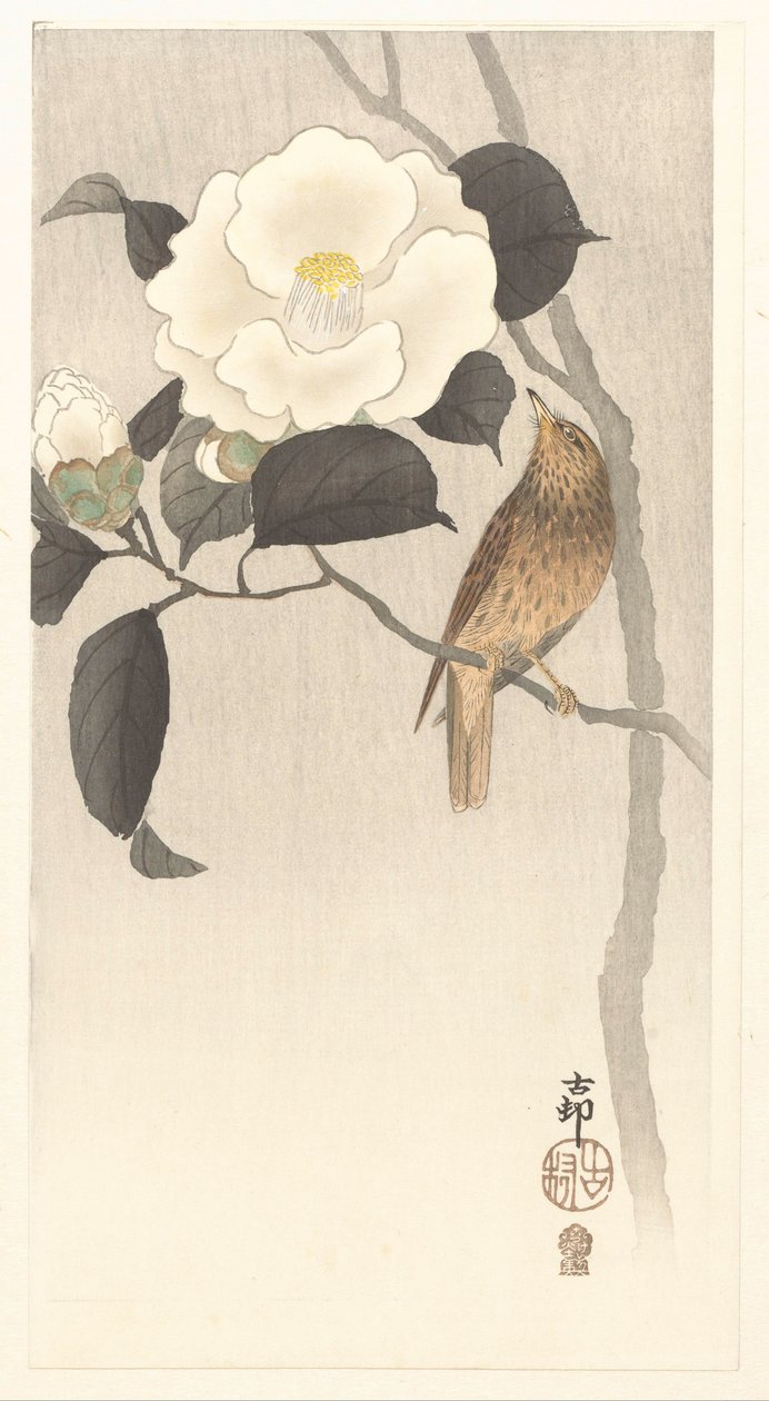 Énekesmadár és virágzó kamélia alkotó: Ohara Koson