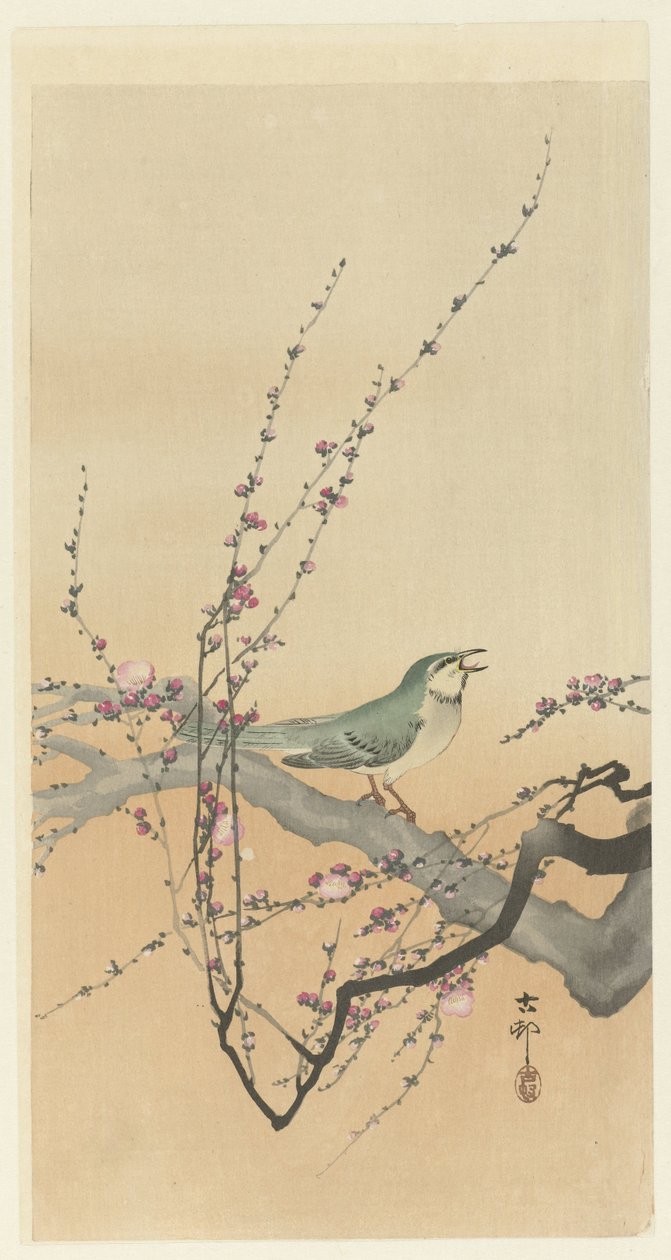 Énekesmadár és szilvavirág. alkotó: Ohara Koson