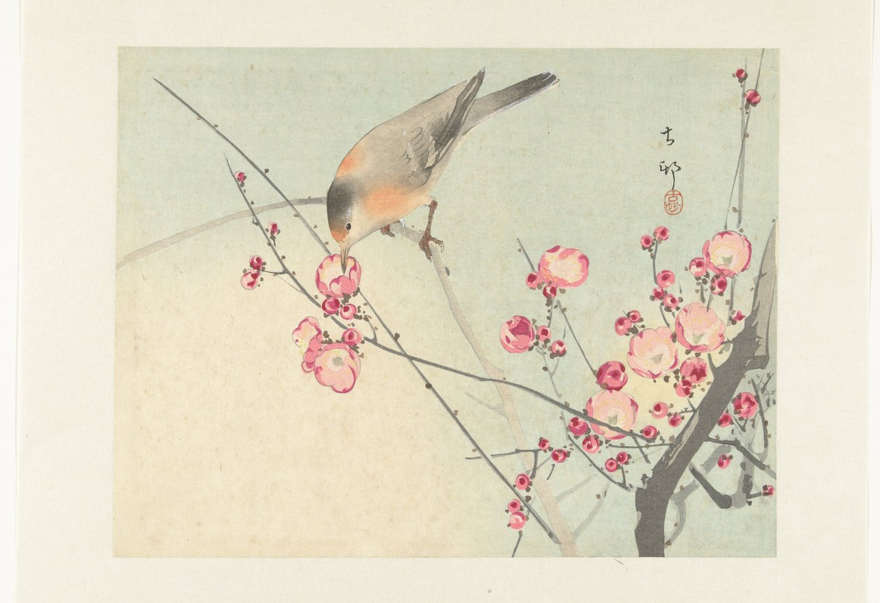 Énekesmadár a virág ágán alkotó: Ohara Koson
