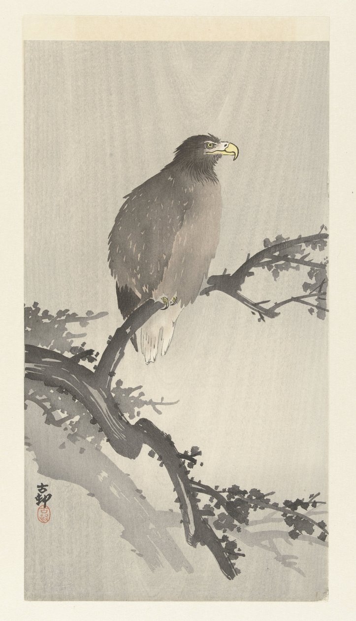 Fehérfarkú sas ágon alkotó: Ohara Koson