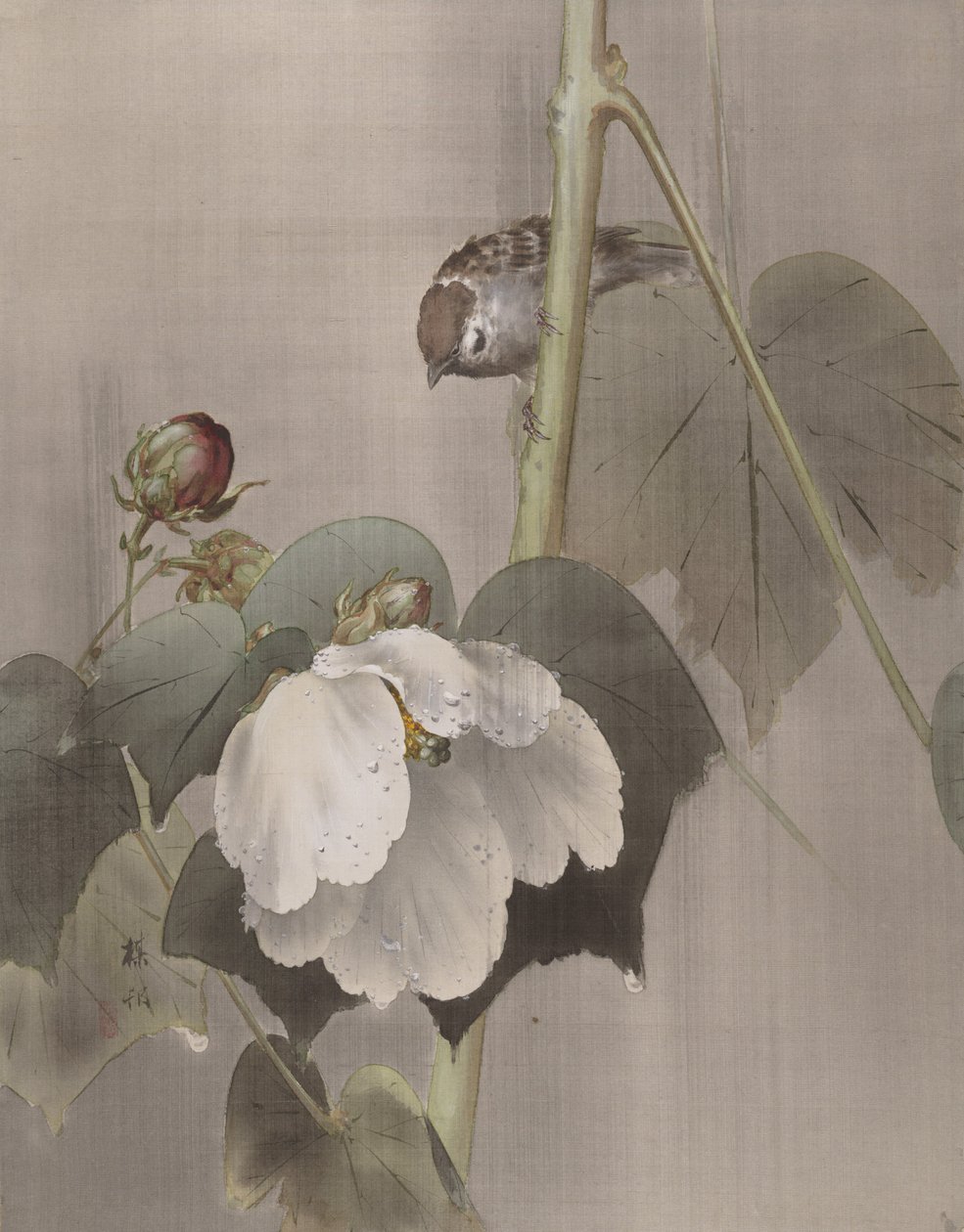 Cotton Rose Mallows in the Rain, kb. 1891-92. alkotó: Okada Baison