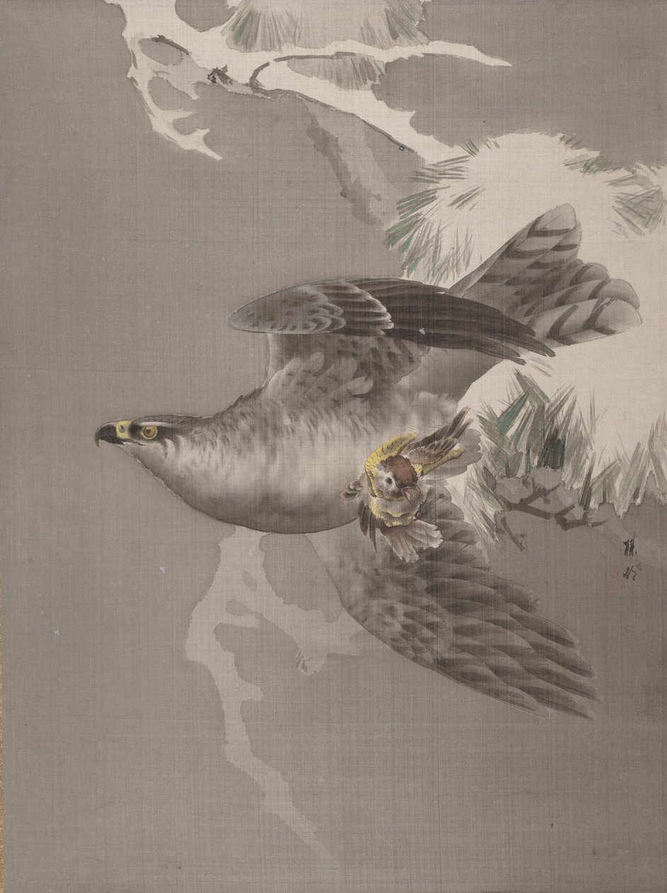 Hawk egy kis madarat tart, kb. 1891-92. alkotó: Okada Baison