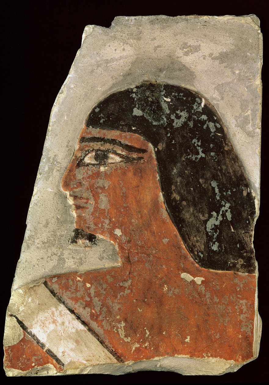Egy férfi fejének domborműve (festett mészkő) alkotó: Old Kingdom Egyptian