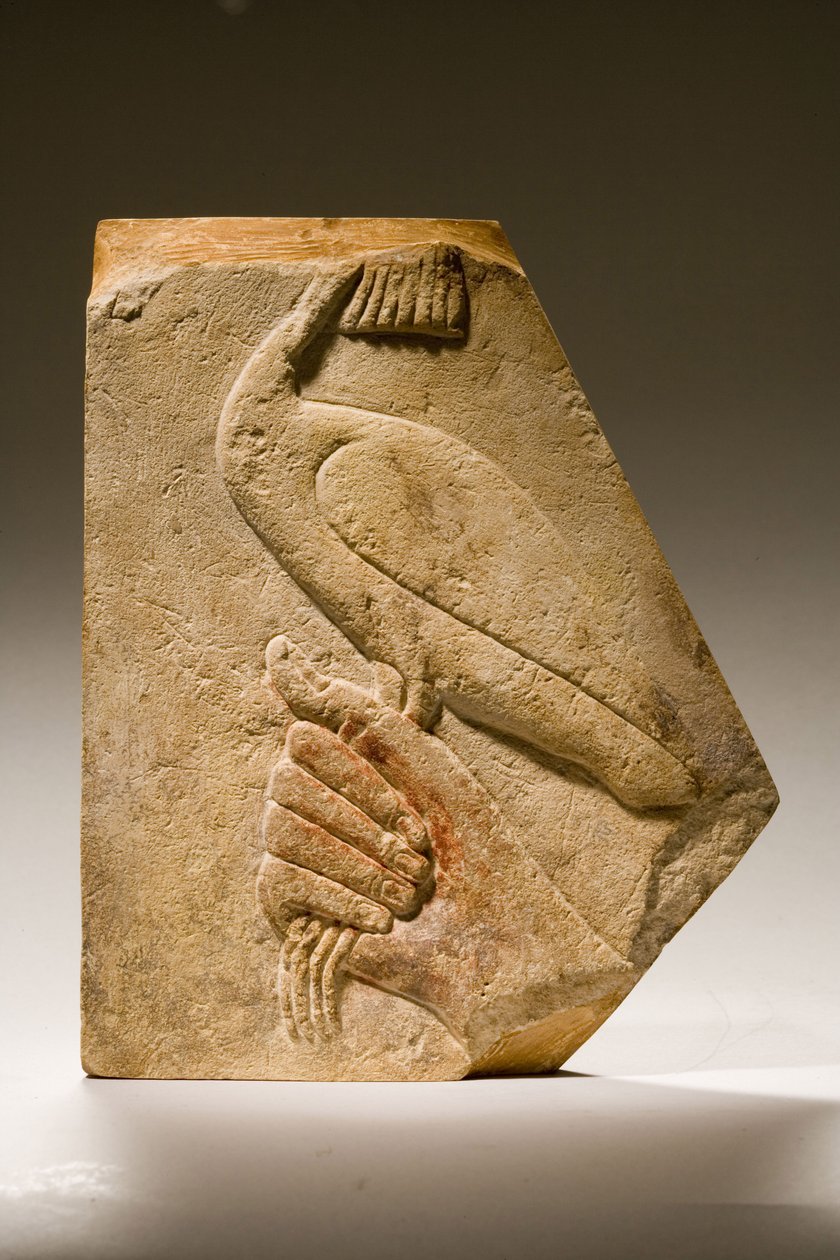 Egy akh madár domborműtöredéke (mészkő) alkotó: Old Kingdom Egyptian