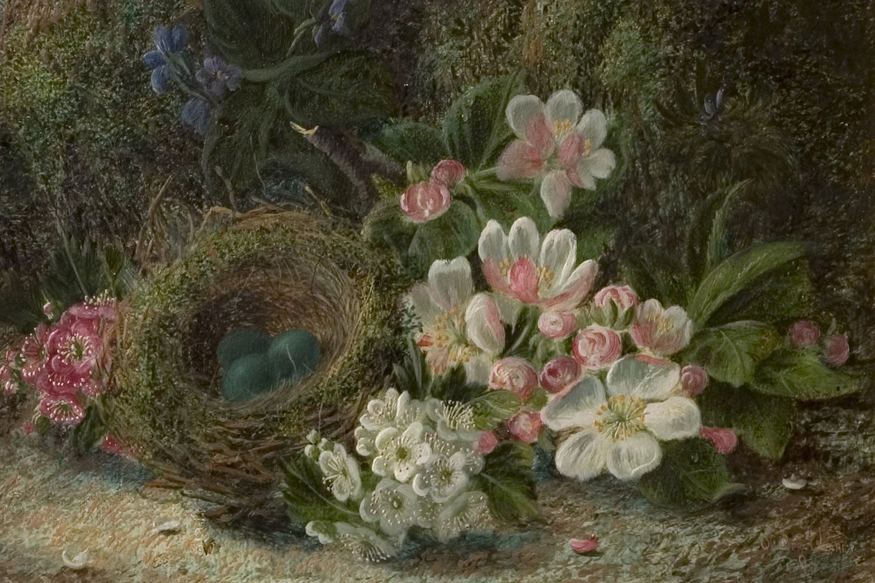 Madárfészek almával és galagonyavirággal, 1893 alkotó: Oliver Clare