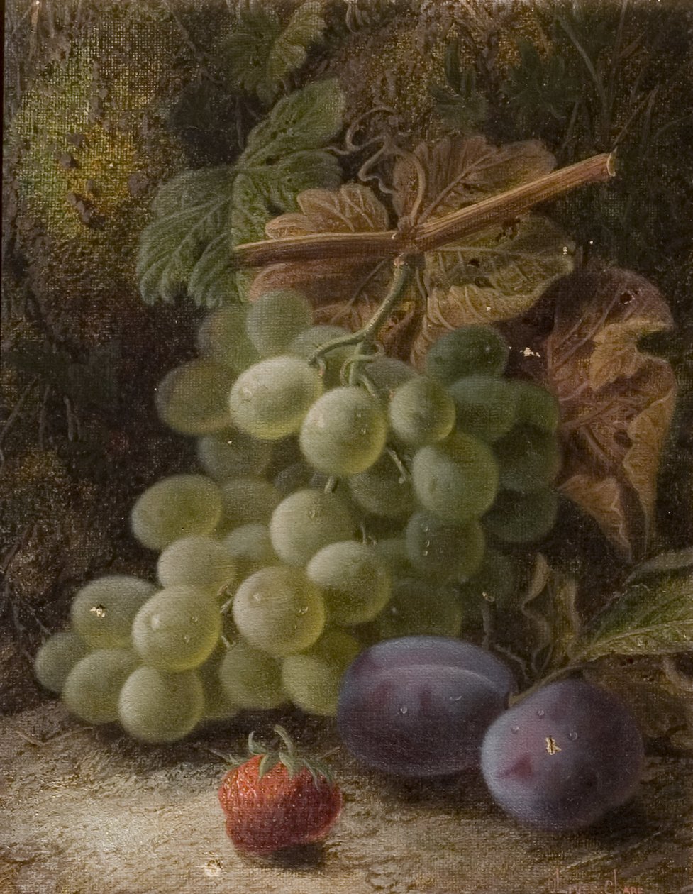 Szőlőfürt, 1893 alkotó: Oliver Clare