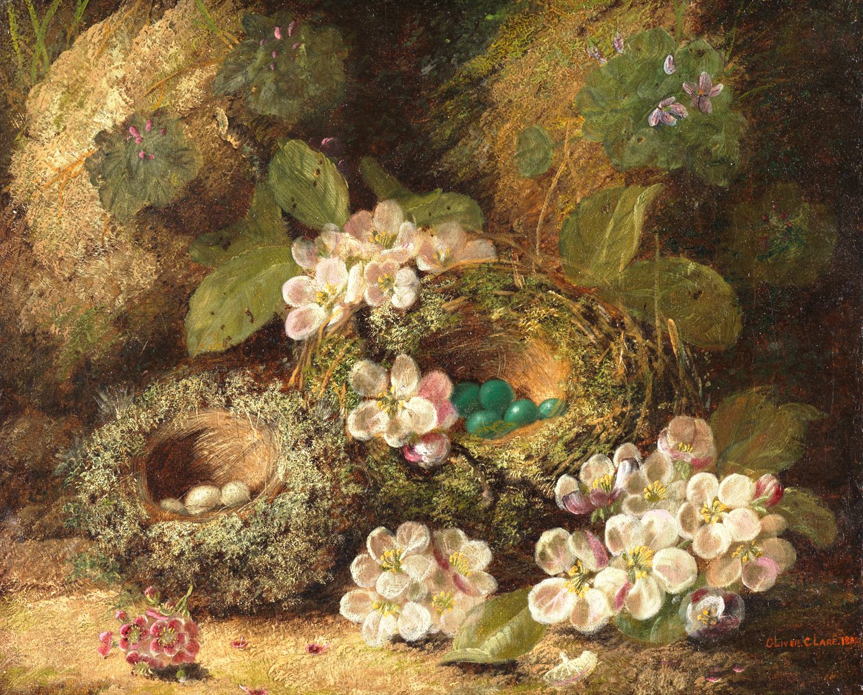 Primerek és madárfészkek egy mohás parton, 1882 alkotó: Oliver Clare