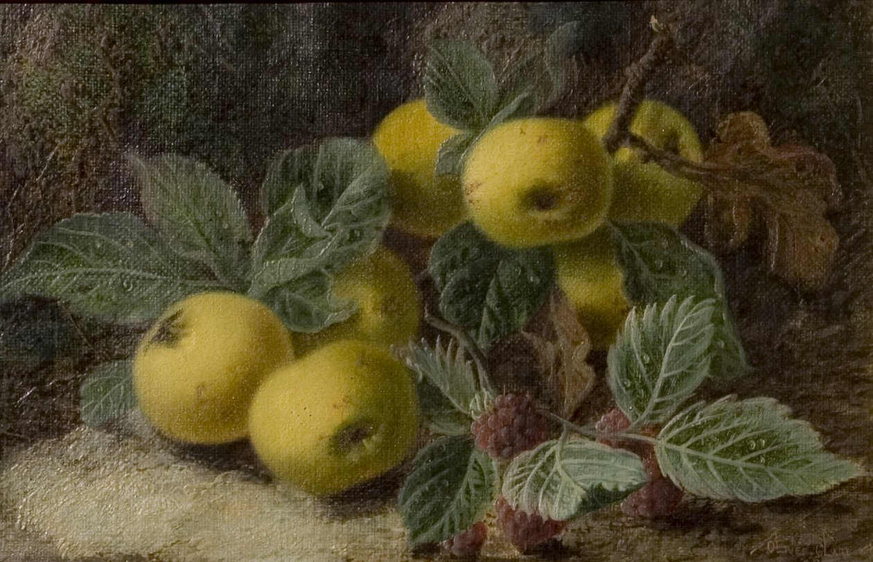 Birs és szeder, 1893 körül alkotó: Oliver Clare
