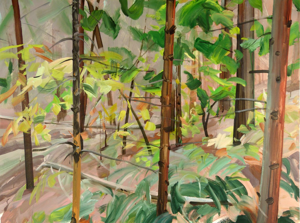 Forêt 9, 2015 (akril, vászon) alkotó: Olivier Morel