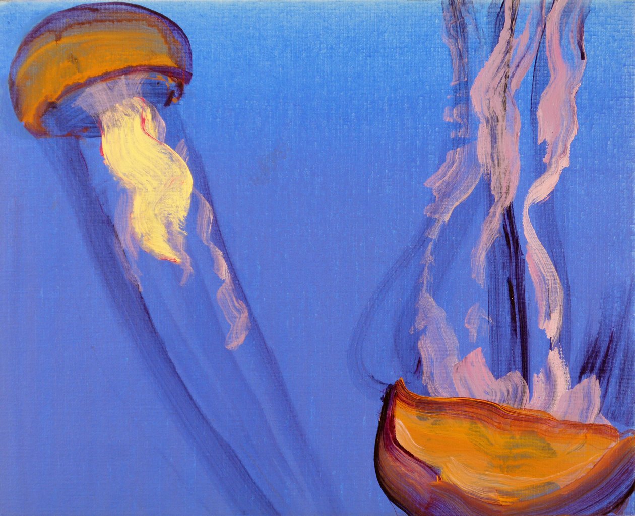 Méduses 7, 2013 (akril, vászon) alkotó: Olivier Morel