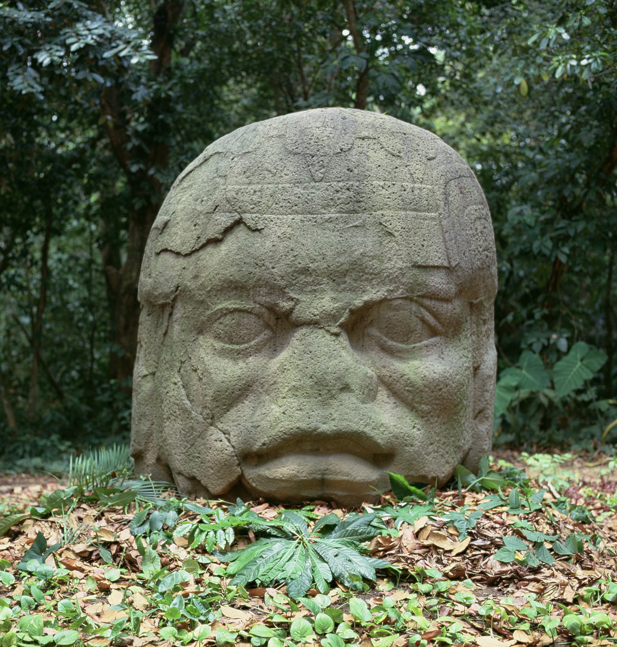 Colossal Head 4, Pre-klasszikus időszak alkotó: Olmec