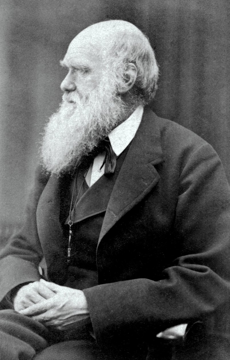 Charles Darwin, 1875 alkotó: Oscar Gustav Rejlander