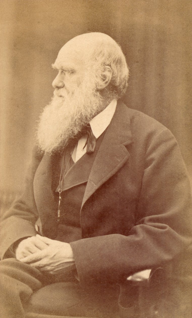 Charles Darwin portréja 72 évesen, 1871 körül (albumnyomat) alkotó: Oscar Gustav Rejlander