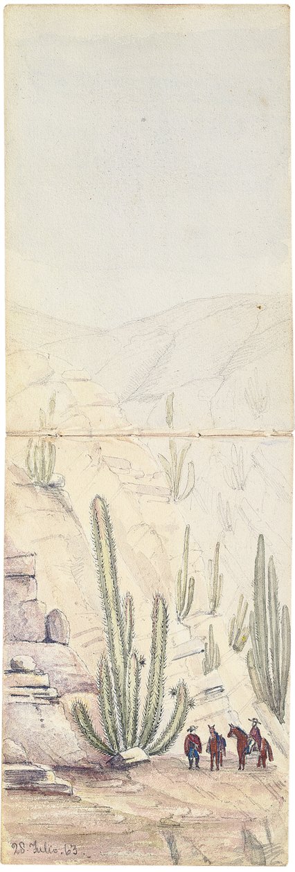 Kaktusz a mélyben "Quebrada", 1863 alkotó: Oswald Younghusband