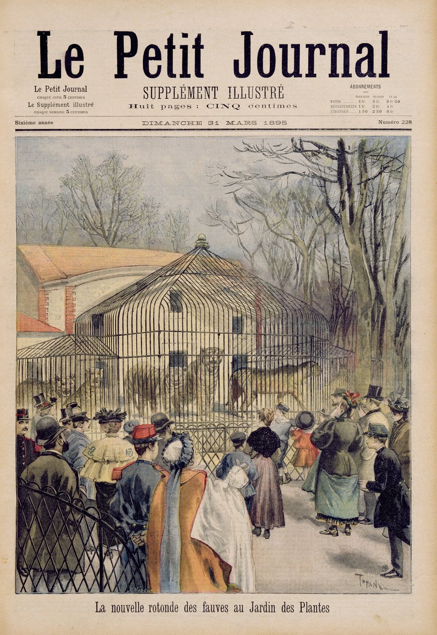 Az új vadmacska-ház a Jardin des Plantes-ban, a „Le Petit Journal”-ból, 1895. március 31. alkotó: Oswaldo Tofani