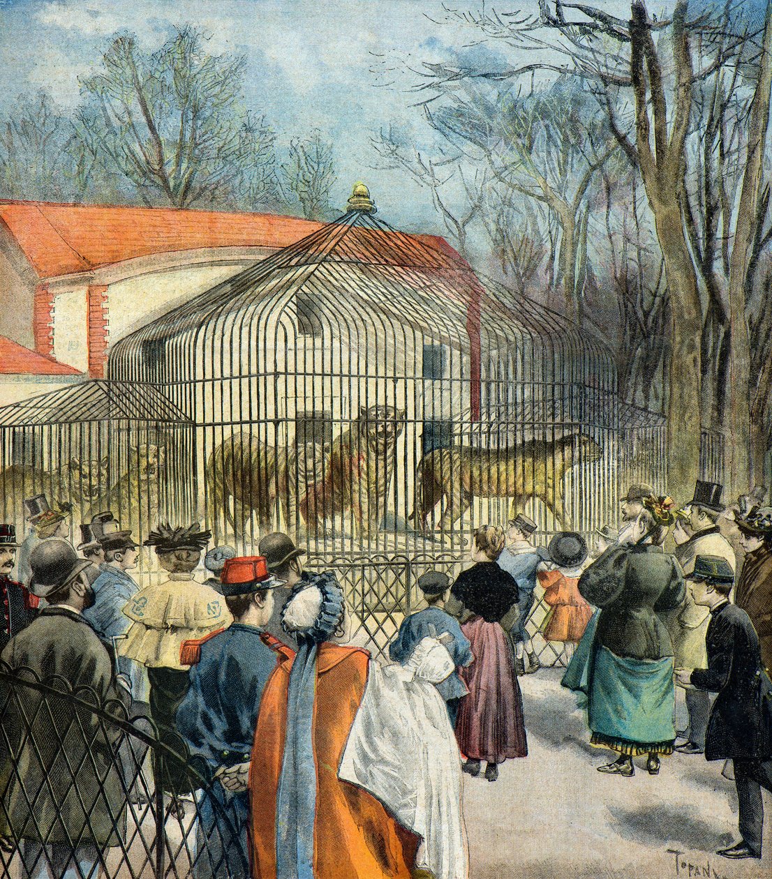 Az új fauve rotunda a Jardin des Plantes-ban alkotó: Oswaldo Tofani