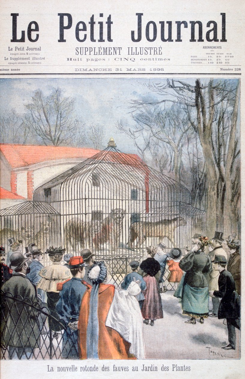 Az új vadmacska ház a Jardin des Plantes-ban, Párizs, 1895 alkotó: Oswaldo Tofani