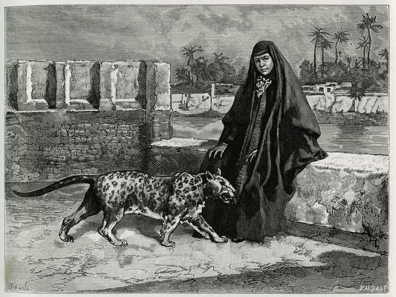 Torkan Khanoum, Sheikh Moses kedvence, Arabisztán hatalmas törzsi vezetője párducával. Tofani metszet a „Persia, Chaldee és Susiane” című történet illusztrálására alkotó: Oswaldo Tofani